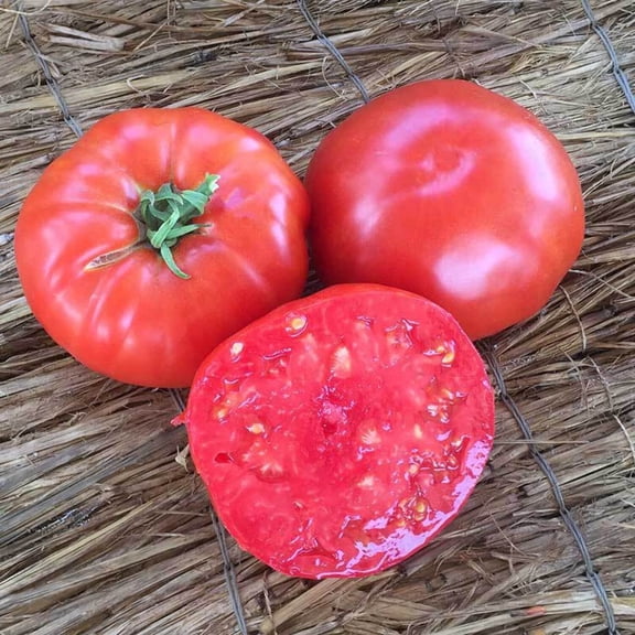 Tomato Beefsteak Organic Seed - 50 Seeds
