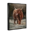thumbnail image 3 of Stupell Highland Cattle Farmhouse Country Animal Animals & Insects Photography Black Floater Framed Art Print Wall Art, 3 of 6