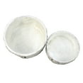 thumbnail image 3 of 2 Piece Ceramic Birch Log Flower Plant Pot Set Indoor Outdoor Patio Yard Decor, 3 of 5