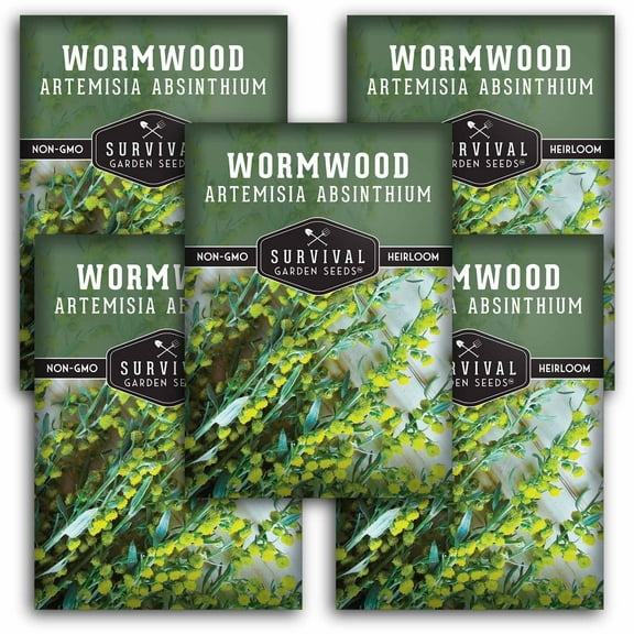 5 Packs Wormwood Seeds - Non-GMO Heirloom Perennial Full Sun to Partial Shade Herb