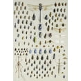 thumbnail image 2 of Rowan, Nmarian Ellis 23x32 Black Ornate Wood Framed with Double Matting Museum Art Print Titled - One Hundred and Fifty Insects, 2 of 4