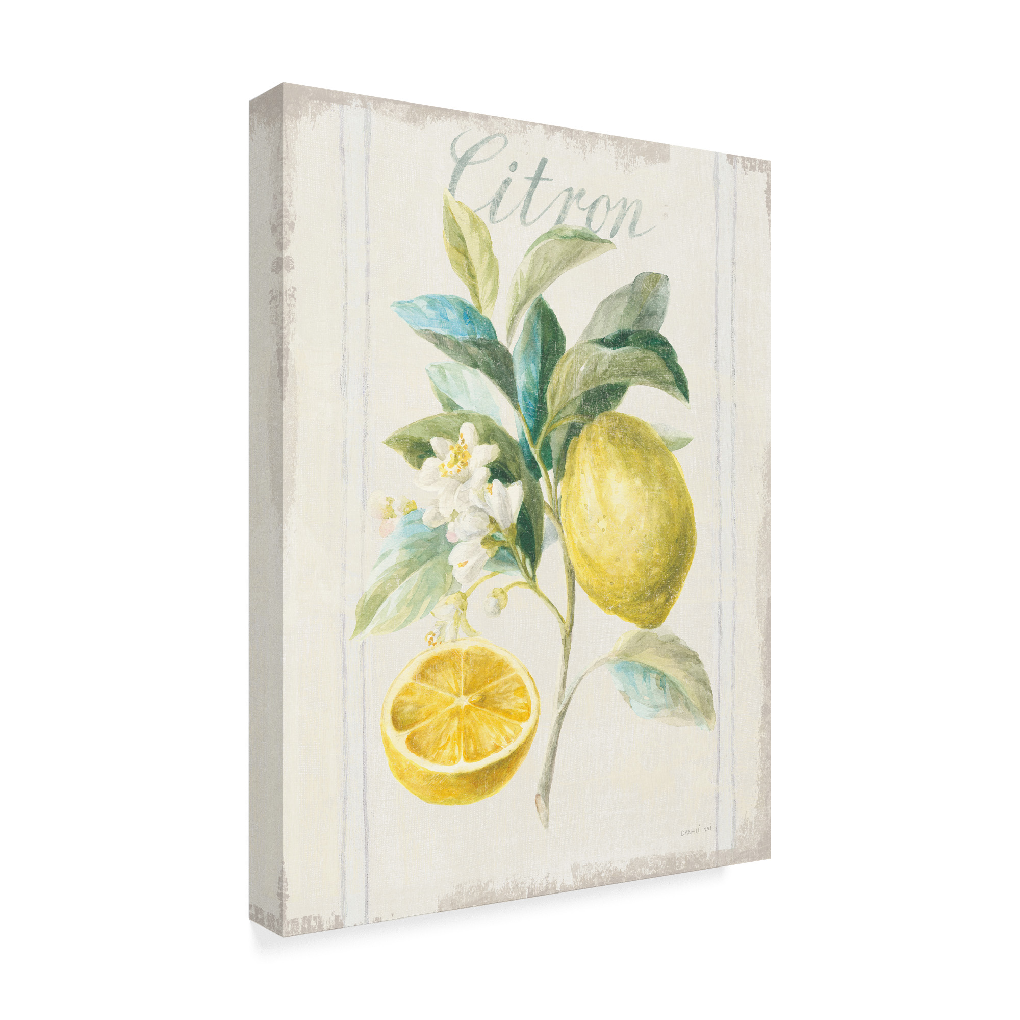 Trademark Fine Art 'Floursack Lemon IV v2' Canvas Art by Danhui Nai