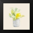 thumbnail image 2 of Loreth, Lanie 12x12 Black Modern Framed Museum Art Print Titled - Decorative Potted Plant II, 2 of 5