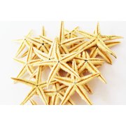 Set of 50 Medium Size Starfish - Philippine Tan Flat Sea Stars (1 1/2" - 2" / 35 - 50 mm) Beach Crafts Wedding Invitations Ocean Decor