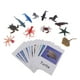 thumbnail image 1 of Montessori Animal Match Cards and Figurines piezas modelo de animales en miniatura piezas de s de papel, juguete de aprendizaje CUTICAT Juguete de animales de educación, 1 of 7