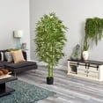 thumbnail image 4 of HomeStock Asian Aesthetics 6Ft. Bamboo Tree Uv Resistant (Indoor/Outdoor), 4 of 4