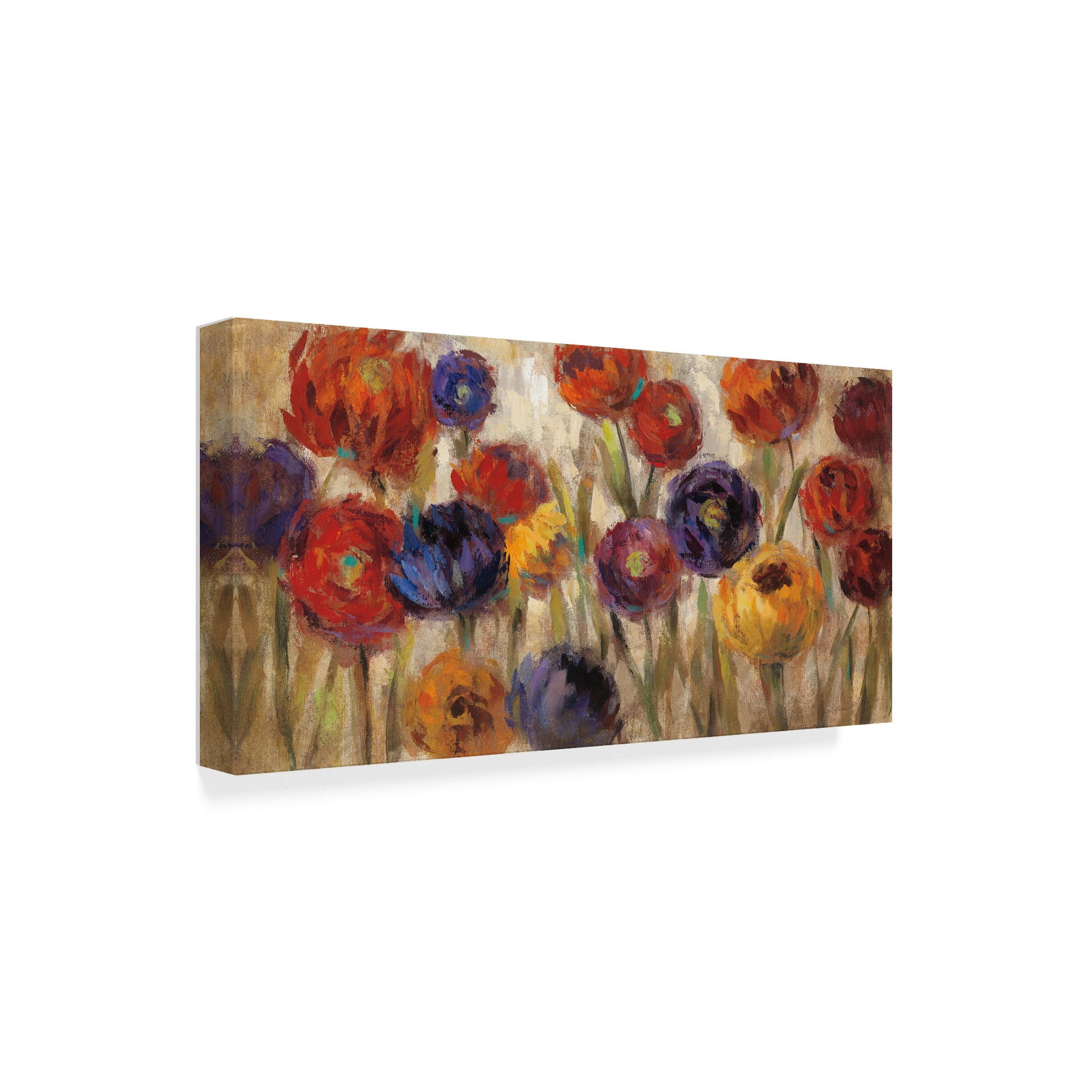 Trademark Fine Art 'Asters and Mums' Canvas Art by Silvia Vassileva