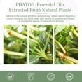 thumbnail image 3 of PHATOIL Thyme Essential Oils 100% Pure for Diffusers Humidifier Aromatherapy Massage Bath Sleep Relaxation 30ml/1.01 fl.Oz, 3 of 7