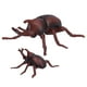 thumbnail image 5 of Modelo de escarabajo de plástico, modelo de insecto escarabajo realista, modelo de insecto, figuras de insectos de plástico, estándares líderes en la industria, 5 of 14