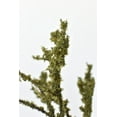 thumbnail image 3 of 25" Faux Moss Twig Branch Stem, 3 of 6