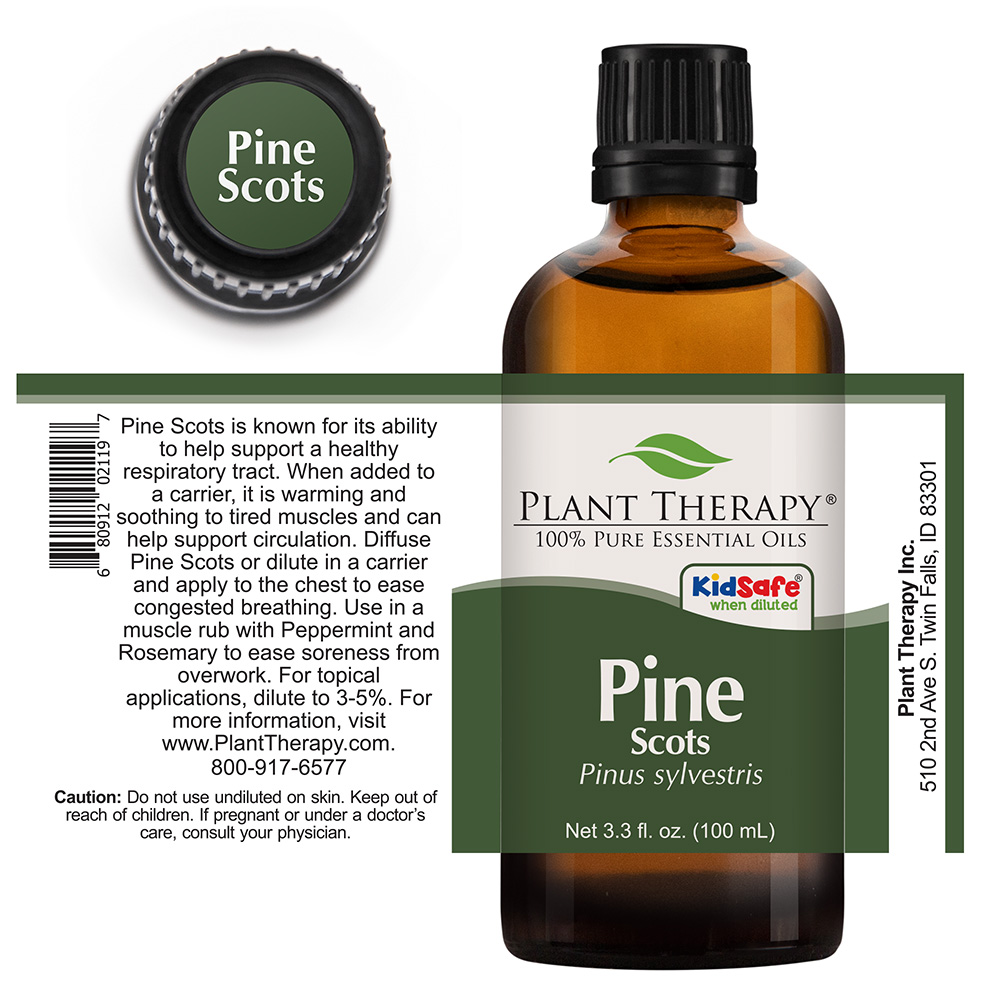 Plant Therapy Essential Oils Pine Scots 100 mL (3.3 oz) 100% Pure, Undiluted