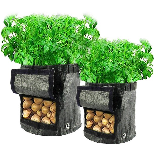 DYstyle 3/5/7/10 Gallon Plant Grow Bag Black PE Fabrics Potato