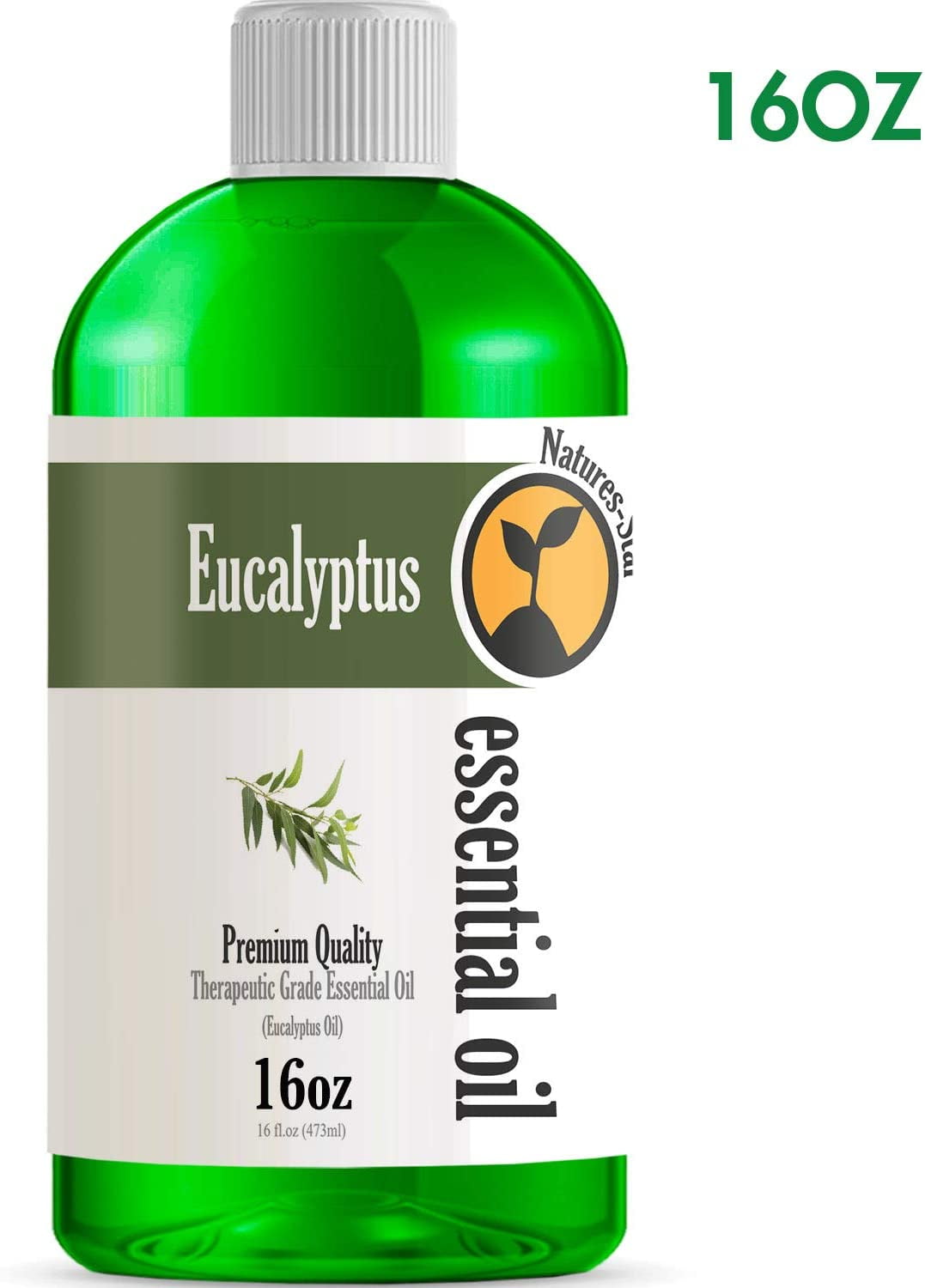 16oz Bulk Size Eucalyptus Essential Oil (16 Ounce Bottle) Therapeutic Grade Essential Oil