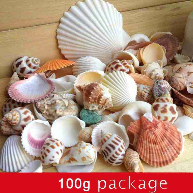 Aquarium Beach Nautical Diy Shells Mixed Bulk Approx 100g Sea Shell