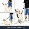 thumbnail image 3 of Pet Products-nylon Double-layer Thick Reflective Large And Medium-sized Dog Traction Rope, 3 of 5