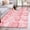 Pink, variant on 3'x5' Area Rugs, Pink Shell Coastal Indoor Outdoor Area Rug for Living Room Bedroom, Summer Beach Nautical Ocean Washable Bathroom Rugs Kitchen Floor Carpet Mats Home Decor Aesthetic