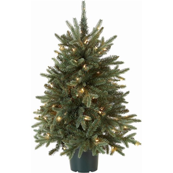 National Tree Company Artificial Christmas Tree For Entrances | Includes White Lights and Pot | Everyday Collections - 3 ft