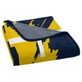thumbnail image 4 of The Northwest Group  Michigan Wolverines 46" x 60" Dimensional Micro Raschel Plush Throw Blanket, 4 of 5