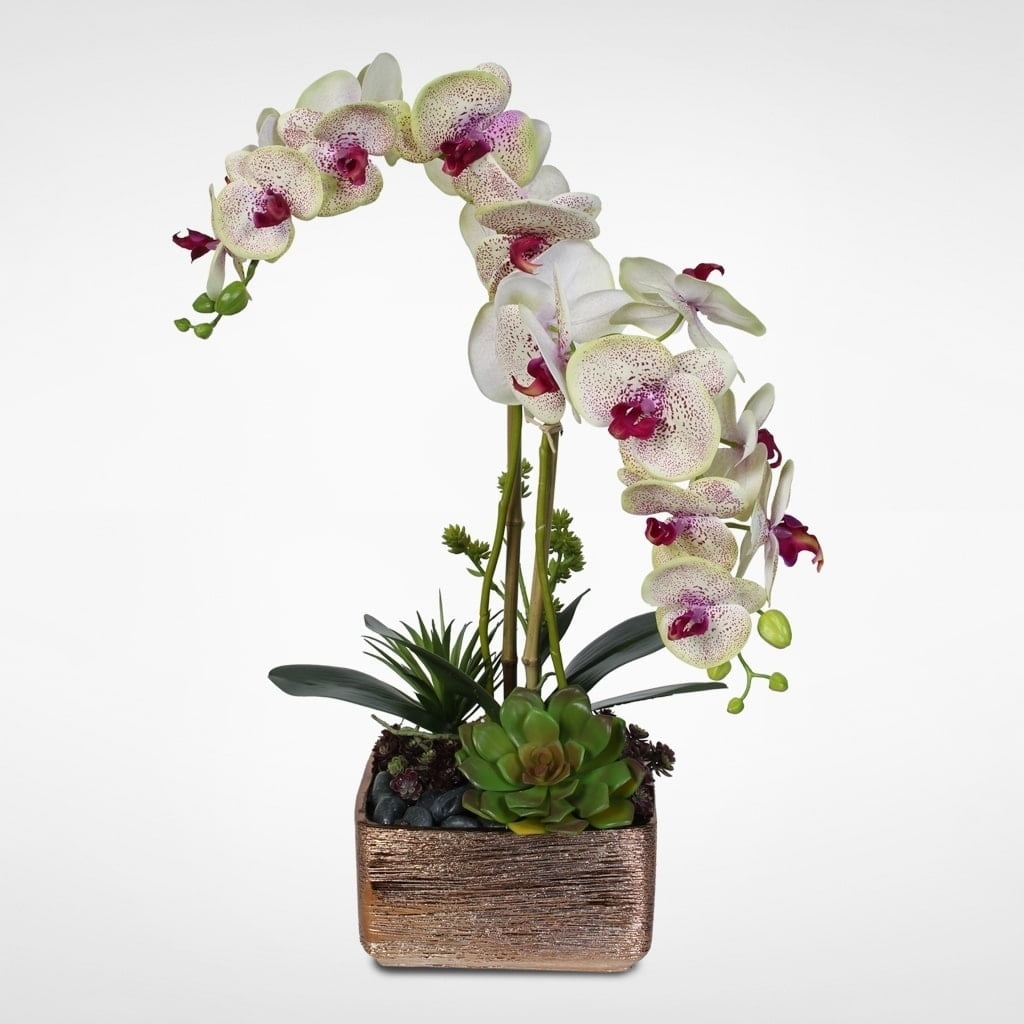 Cream Orchid with Succulents in a Gold Ceramic Pot - Walmart.com ...