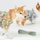 thumbnail image 4 of Juguetes para masticar perros TPR Cepillo de dientes para mascotas Limpieza de dientes Palos de cepillado resistentes a mordeduras Tmvgtek Oficina Multiescena Multifunción, 4 of 6