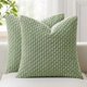 thumbnail image 1 of Chenchen Kevin Textile 2 Packs Spring Decorative Throw Pillow Covers 16x16 Inch for Living Room Couch Bed Sofa Soft Striped Corduroy Square Cushion Case 40x40 cm Farmhouse Boho Home Decor Sage Green, 1 of 1