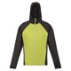 thumbnail image 1 of Regatta - Chaqueta Acolchada Andreson VII Hybrid para Hombre (Algas Verdes, Gris Seal), 1 of 3