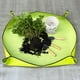 thumbnail image 1 of Macetas Trasplante Esteras Cambio impermeable Suelo Riego Almohadillas Tela de jardín, 1 of 6