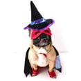 thumbnail image 1 of OULII Puppy Apparel Pet Dog Costume Cotton Photo Shoots 1Set, 1 of 8