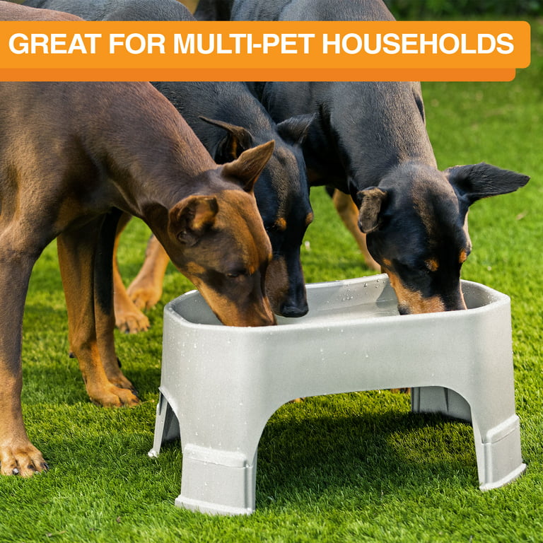 Single Large Dog Bowl Stand Dog Water Bowl 17 Elevated Dog Feeder Modern Pet  Stand Shared Water Bowl for Dogs Large Dog Bowls 