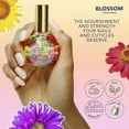 thumbnail image 3 of Blossom Scented Cuticle Oil (0.92 oz) - Rose, 3 of 6