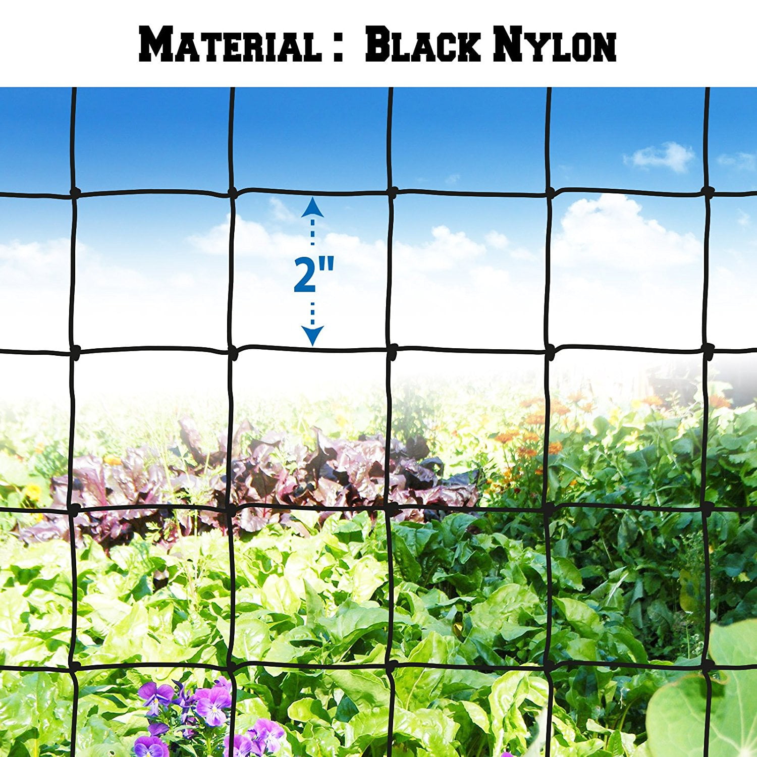 Sunrise 14'x75' Bird Net for Bird Poultry Aviary Black