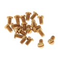 thumbnail image 1 of Tornillos de Mantenimiento de Saxofón Dorado 20 Piezas, Piezas de Herramientas de Reparación de Saxofón, Accesorios Diy, 1 of 6