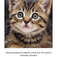 thumbnail image 4 of Yuarrent Kit de pintura de diamante 5D fácil de plástico, gato favorito sin esfuerzo para la vida con gemas brillantes Decoración del hogar, 4 of 6