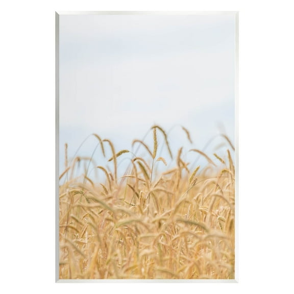 Rural Wheat Field Crops Landscape Photograph Unframed Art Print Wall Art