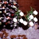 thumbnail image 4 of Adornos Navideños Solares con Forma de Muñeco de Nieve Anciano, Luces Navideñas Solares para Carretera, Luces Navideñas para Exteriores para Patio, Porche y Jardín., 4 of 6