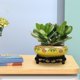 thumbnail image 5 of Maceta de florero de cerámica con soporte | Maceta de bonsái hidropónico para interiores y exteriores | Diseño chino | Base robusta | Plantas a base de agua | Decoración de jardín de oficina |, 5 of 5
