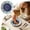 Blue2, variant on 1PC All-in-one Premium Ceramic Garlic Grater Plate - Cross Glazed Design and Style - For Garlic, Ginger, Chocolate, and more -4.8in(Blue3)