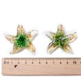 thumbnail image 4 of 2Box Handmade Lampwork Pendants Starfish/Sea Stars Mixed Color 42x47x13mm Hole: 7mm 12pcs/box, 4 of 5