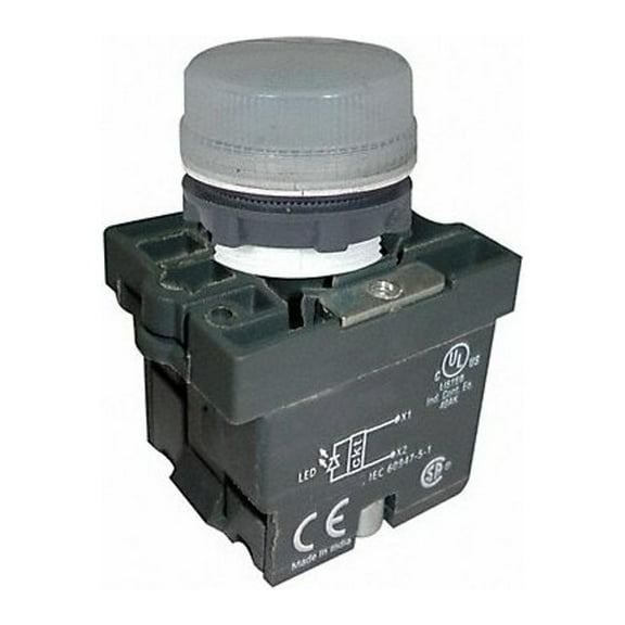 Dayton Pilot Light,22mm,LED,White 30G216