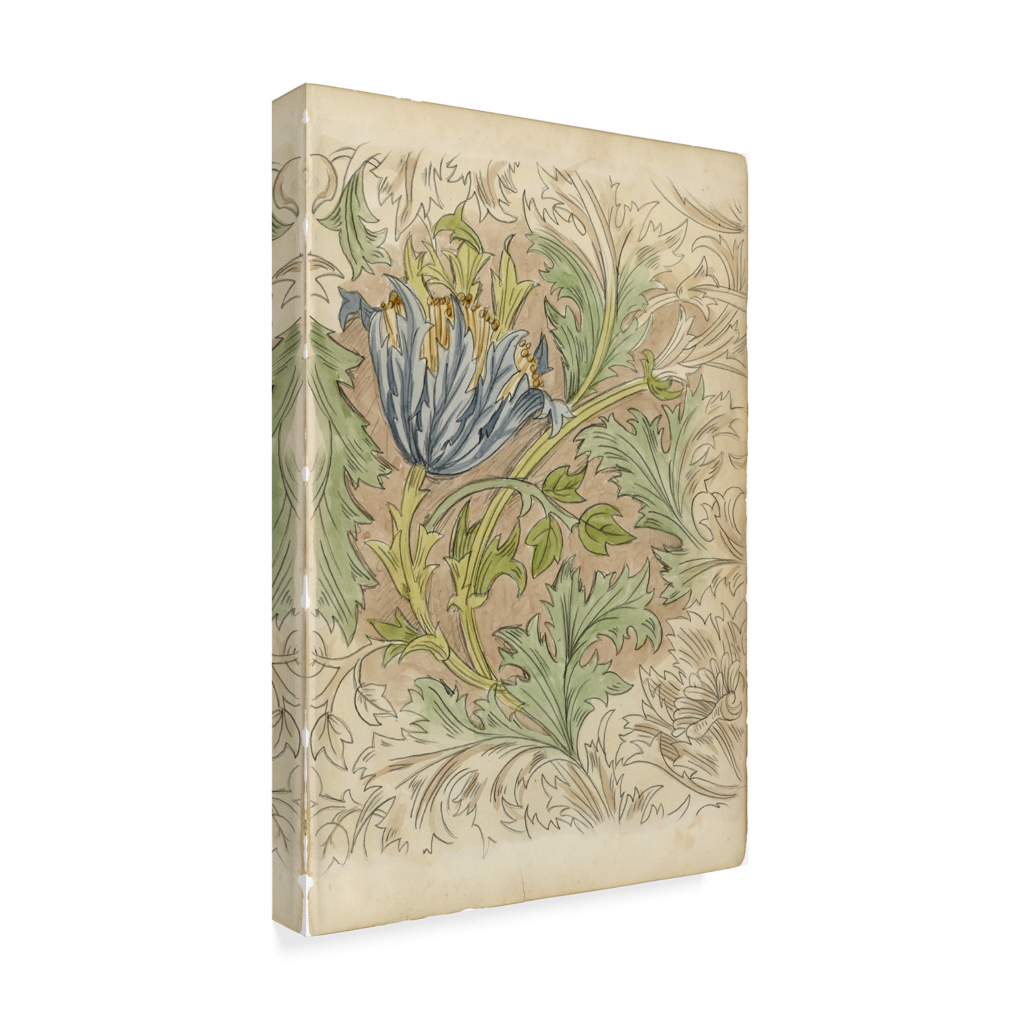 Trademark Fine Art 'Floral Pattern Study III' Canvas Art by Ethan Harper