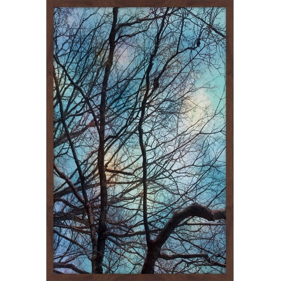 "Winter Sky" Framed Painting Print