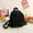 black, variant on Casual Simple Corduroy Student Bookbags Solid Color Mini Backpack Traveling Backpacks BROWN