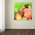 thumbnail image 3 of Trademark Fine Art "The Very Hungry Snail" Canvas Art by Beata Czyzowska Young, 3 of 3