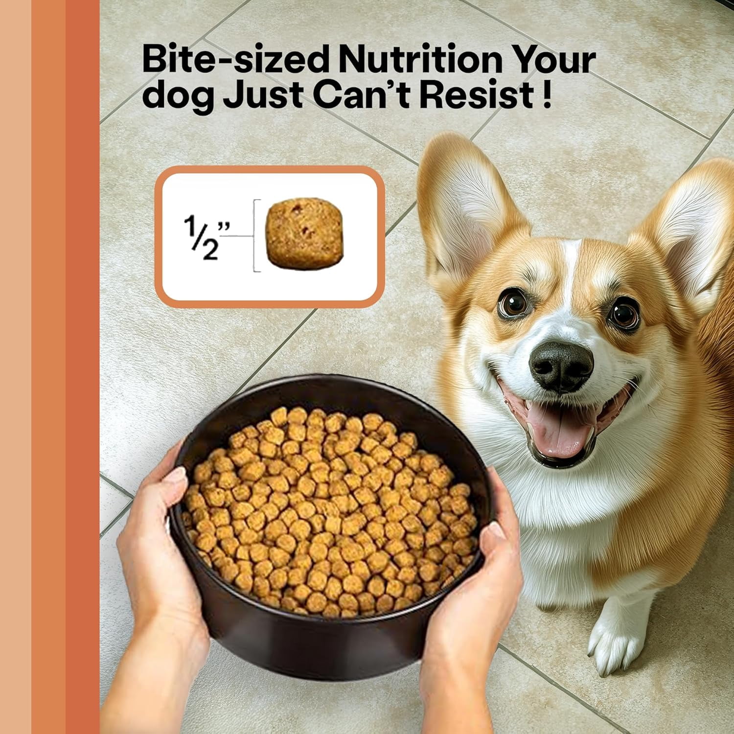 Wild Earth Vegan Dry Dog Food 28 LB| Plant-Based Maintenance Formula | Vegetarian, Allergy Relief, Veterinarian-Developed for Complete Nutrition | Classic Roast Flavor