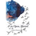 thumbnail image 2 of and in Open, Marvel (Free Verse Editions), 2 of 4
