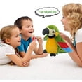 thumbnail image 4 of Juguete eléctrico de loro - Juguete parlante - Peluche - Con función de grabación y reproducción - Peluche para niños y niñas (verde), 4 of 5