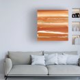 thumbnail image 2 of Chris Paschke 'Gilded Mandarin III Burnt Orange' Canvas Art, 2 of 4
