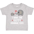 thumbnail image 3 of Inktastic Grandkids Best Grammie Ever Boys or Girls Toddler T-Shirt, 3 of 5