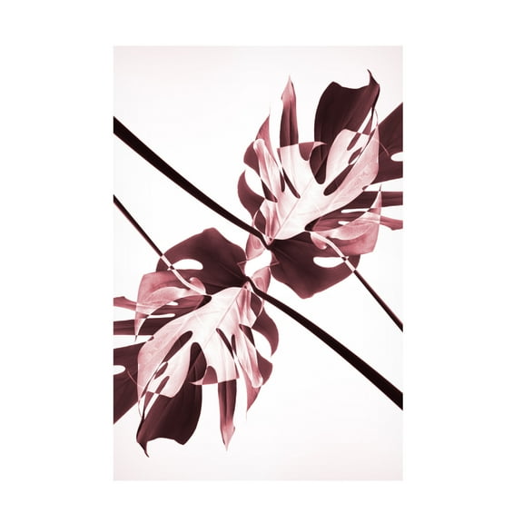 Trademark Fine Art Pictufy Studio Monstera Kaleidoscope 02 Canvas Wall Art