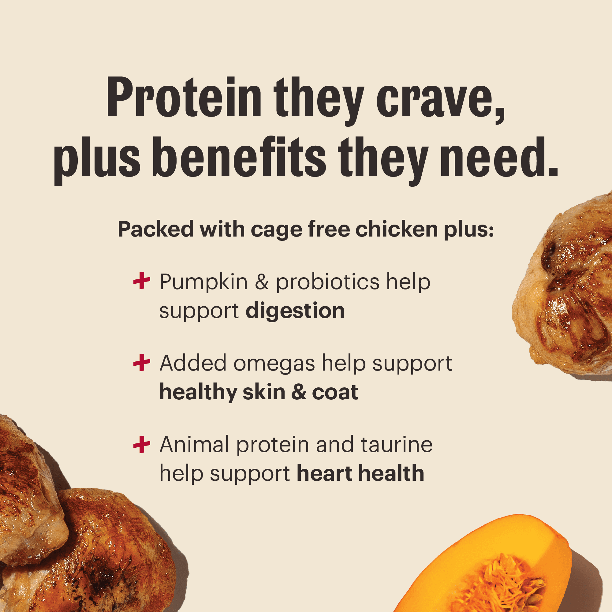 The Honest Kitchen Protein Plus Grain Free Chicken Clusters, High Protein Human Grade Dry Dog Food, Meal Topper for Dry & Wet Dog Food, Supports Skin, Coat & Overall Wellness, 18 lb Bag